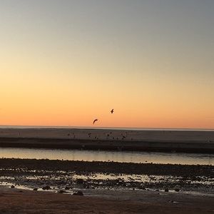 Meet your Posher, Sophia